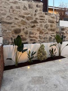 paribo koyiçi - Çeşme - 2