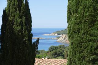 Residenza l 'Alivetu - Cargèse - 7