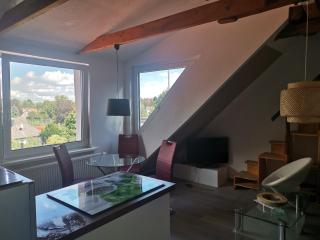 Im Harzer Vogelnest Finkennest - Bad Harzburg - 4