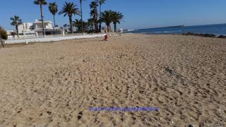 Ref 555 - Benicarló - 3
