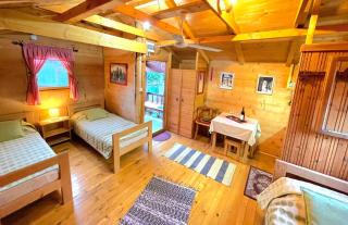 Eko apartments Drvljanik - 4