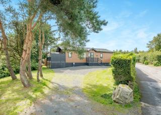 Brighouse Bay Holiday Park - Kirkcudbright - 9