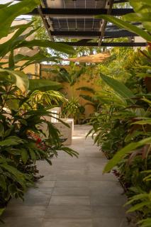 Parcela7 Cafe-Hotel - Playa del Carmen - 0