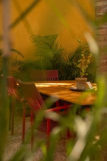 Parcela7 Cafe-Hotel - Playa del Carmen - 6
