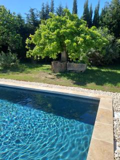 La maison des Alpilles - 8