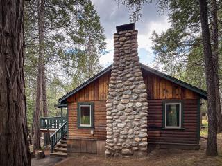 10 Little Cabin In The Woods - North Wawona - 0