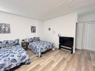 547b) Newly updated studio in a great neighborhood - Sint-Petersburg - 2