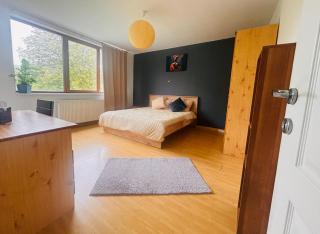 Apt luminos cu parcare inclusa aproape de Univ, Spitale, Centru - Cluj-Napoca - 0