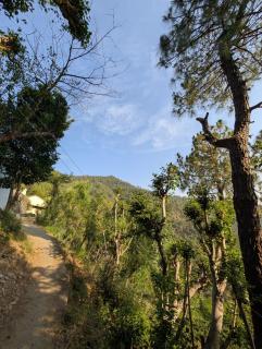 The Himalayan House - Dalhousie - 5
