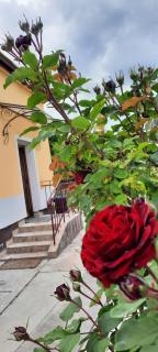 Hideaway house with garden & freeparking - 6