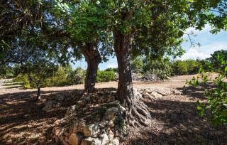 4 Bedroom Awesome Home In Modica - 2