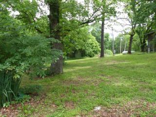 Eureka Springs - Beaver Lake - White River area Charming House in Country 4bd 2ba - Eureka Springs - 7