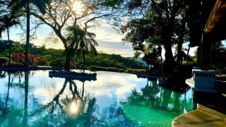 Bungle in the Jungle - 9