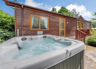 Herons Brook Retreat Lodges - Narberth - 1