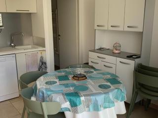 Appartement T3 en Corse, Marina di Bravone N131 - Linguizzetta - 1