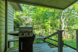 Ivy Cottage - Black Mountain - 3