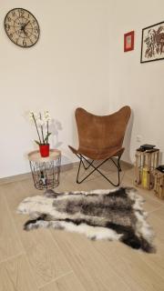 Apartmani Volga - Petrčane - 1