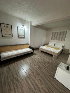 Vila Lotus - Eforie Nord - 1