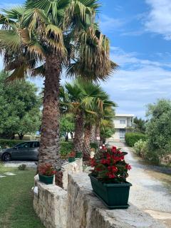 Villa Evita , penthouse, 53m2 ,Athytos , astonishing sea view - Afitos - 2