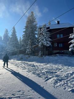 Whispering Pines - Šišava - 8