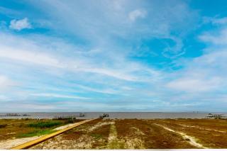 The Blue Heron - Dauphin Island - 6