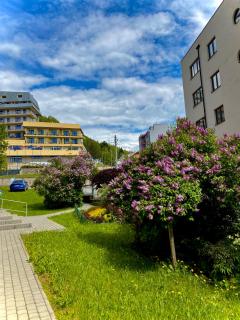 Cristal Apartament Krynica - Zdrój - Krynica-Zdrój - 7