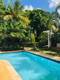 Serenity Villa d'Exception avec Piscine - Pereybere - 7