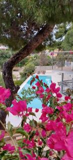 Vasiliki's Villa Beach Front and Pool - Porto Heli - 5
