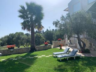 Villa Evita , penthouse, 53m2 ,Athytos , astonishing sea view - Afitos - 3