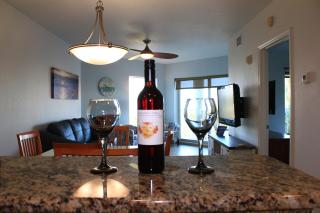 Coastal Serenity - St. Pete Beach - 9