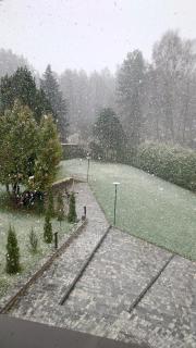 Rugpieniai - - 2