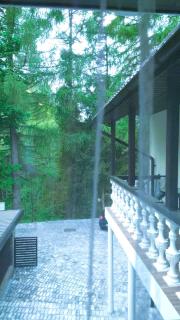 Rugpieniai - - 1