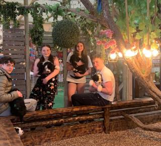 Perfect Couple Retreat, Puppy Lounge & Games Room - 3
