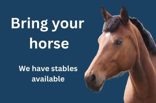 Countryside Escape, Fire Pit, Puppies, Bring Horses - - 9