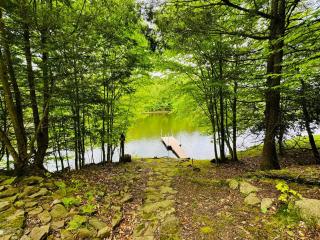 Lazy River Cabin: Lakefront Stay - Greentown - 6
