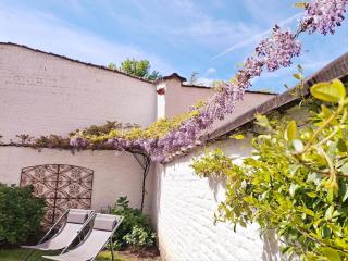 Appartement lumineux avec jardin proche du centre - 3