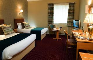 Hotel THE REGENT CROWN Unit OF Gross Group Near Delhi Airport - Neu-Delhi - 1