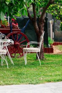 Red Roses-Traditional House - - 8