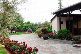 Red Roses-Traditional House - - 2