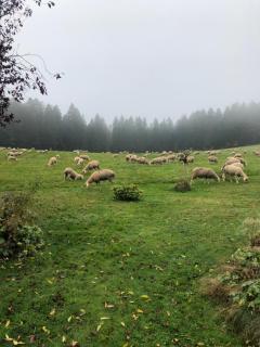 Solhof-Schömberg - 4