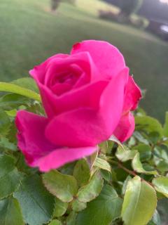 Solhof-Schömberg - 6