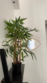 ECRIN AU COEUR DE PARIS PRES DU JARDIN DU LUXEMBOURG - 2