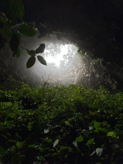 Cozy home, walking distance San Cristobal - 3