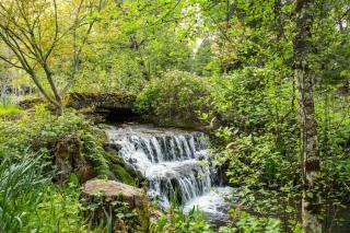 Hobbits Rest - Salem - 8