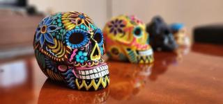 Hipster HO studio & apt in Esquina del Chilaquil - Cidade do México - 8