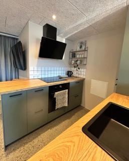 New and stylish apartment - in modern nordic style - 1