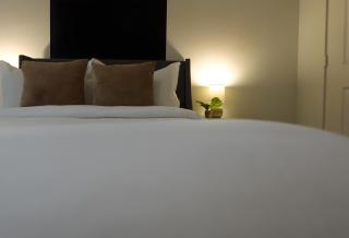 Modern City Loft Cozy 1BR & Free Parking - Houston - 8