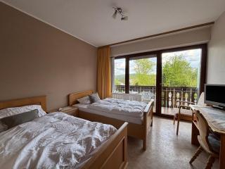 Hotel Lauer by Simplex - Bad Soden-Salmünster - 1