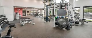Modern City Loft Cozy 1BR & Free Parking - Houston - 5