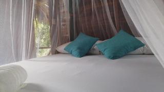 Hostel Cattleya - Palomino - 7